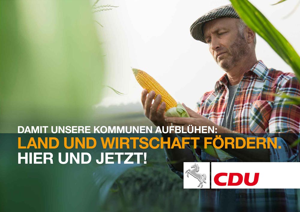 Pitchbeitrag: PLAKATKAMPAGNE für die CDU Rheinlandpfalz zum Landtagswahlkampf 2016